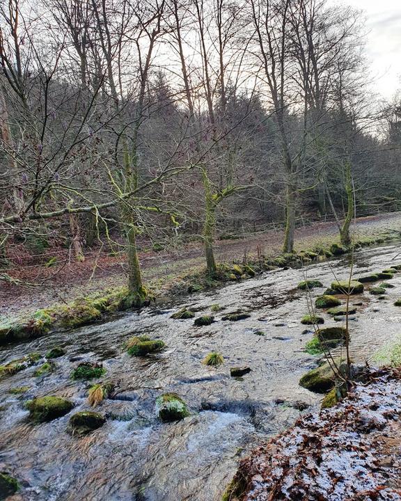 Zordel Fischzuchten